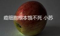 癌細胞根本餓不死 小蘇打功效被神化