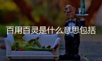 百用百靈是什么意思包括百用軟件科技公司簡介圖片的詳細(xì)情況