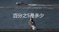百分之5是多少