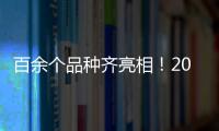 百余個品種齊亮相！2020海口三角梅花展18日啟幕