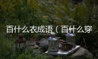 百什么衣成語（百什么穿什么成語）