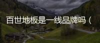百世地板是一線品牌嗎（百世地板）