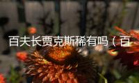 百夫長賈克斯稀有嗎（百夫長賈克斯）