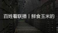 百姓看聯播丨鮮食玉米的“電商經”