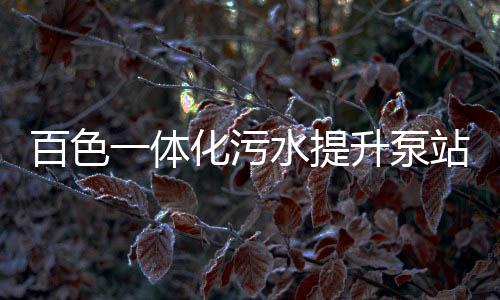 百色一體化污水提升泵站