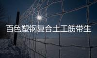 百色塑鋼復合土工筋帶生產廠家