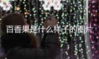 百香果是什么樣子的圖片（百香果是什么）