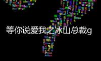 等你說愛我之冰山總裁gl晉江（求 等你說愛我之冰山總裁 gl全文 謝謝）