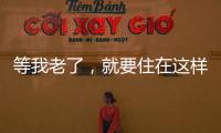等我老了，就要住在這樣的院子里，一只貓一杯茶三兩好友