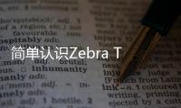 簡單認識Zebra TC53/58移動數據終端