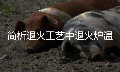 簡(jiǎn)析退火工藝中退火爐溫度的影響！,市場(chǎng)研究