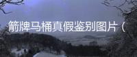 箭牌馬桶真假鑒別圖片（箭牌馬桶真假鑒別）