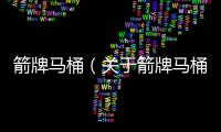 箭牌馬桶（關于箭牌馬桶的基本情況說明介紹）