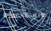 管中窺豹 可見一斑（管中窺豹可見一斑什么意思）