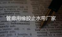 管廊用橡膠止水帶廠家