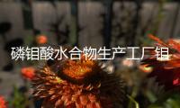 磷鉬酸水合物生產(chǎn)工廠鉬含量＞45%品牌：鴻鑫瑞宇
