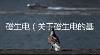 磁生電（關于磁生電的基本情況說明介紹）