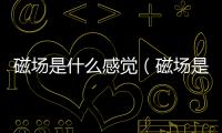 磁場是什么感覺（磁場是什么）