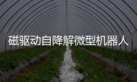 磁驅動自降解微型機器人用于前列腺癌治療