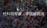 社科院專家：中國居民消費率處于世界偏低水平