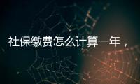 社保繳費怎么計算一年，社保繳費怎么計算
