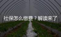 社保怎么繳費？解讀來了