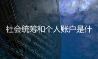 社會統籌和個人賬戶是什么意思（社會統籌）