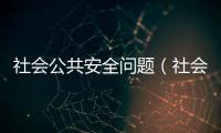 社會公共安全問題（社會公共安全）
