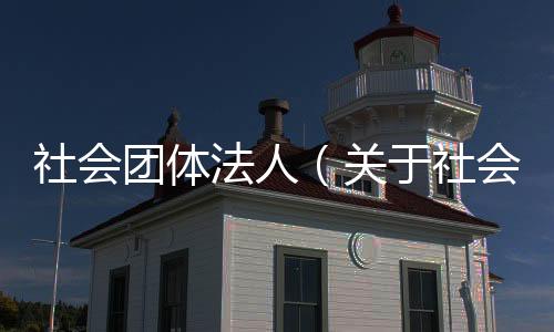 社會團(tuán)體法人（關(guān)于社會團(tuán)體法人的基本情況說明介紹）