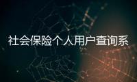 社會保險個人用戶查詢系統（綜合保險查詢個人賬戶）
