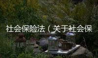 社會保險法（關于社會保險法的基本情況說明介紹）
