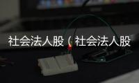 社會法人股（社會法人股）