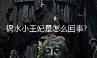 禍水小王妃是怎么回事?