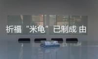 祈福“米龜”已制成 由上萬袋大米組成重5.35萬斤