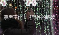票房不佳！《野性的呼喚》或將損失5000萬美元