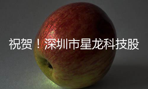 祝賀！深圳市星龍科技股份有限公司董事長榮獲“杰出CEO獎”