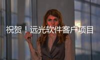 祝賀！遠(yuǎn)光軟件客戶(hù)項(xiàng)目廣東電網(wǎng)公司電子會(huì)計(jì)檔案單套管理建設(shè)通過(guò)驗(yàn)收
