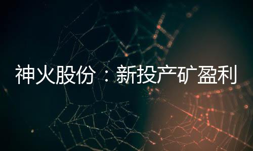 神火股份：新投產(chǎn)礦盈利貢獻(xiàn)有望超預(yù)期