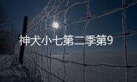 神犬小七第二季第9