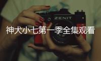 神犬小七第一季全集觀看（神犬小七第一季全集）