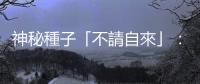 神秘種子「不請自來」：英美出現(xiàn)大量來自中國、偽裝成耳環(huán)的種子包裹