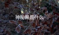 神秘果是什么