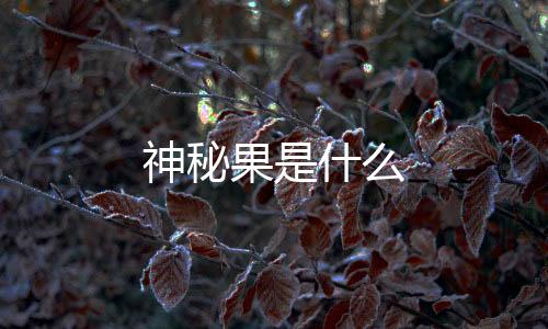 神秘果是什么