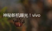 神秘新機曝光！vivoX90系列或成安卓手機影像天花板