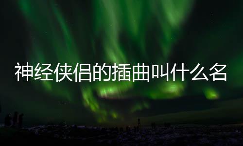 神經俠侶的插曲叫什么名字（神經俠侶插曲）