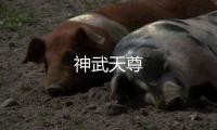 神武天尊
