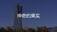 神奇的果實