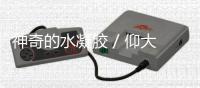 神奇的水凝膠 / 仰大勇、郭保林、陳濤水凝膠最新成果速遞 – 材料牛
