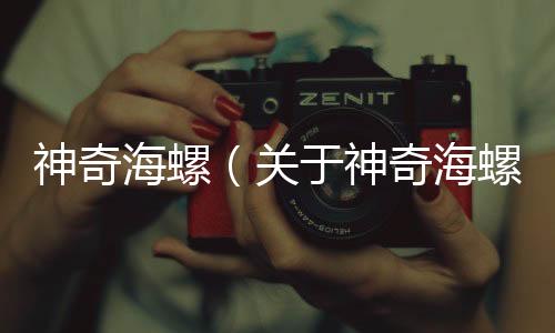 神奇海螺（關于神奇海螺的基本情況說明介紹）