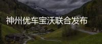 神州優車寶沃聯合發布 重新定義汽車新零售